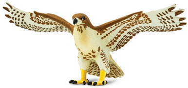 【中古】 Brother Hawk RedTailChasingHawks Amazon.com: Brother Hawk: CD 和黑膠唱片