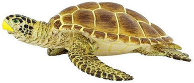 新品　CALMA STORE 38灯 Skelton Tortoise Ebros Nautical Colorful Shell Sea Turtles Tortoises