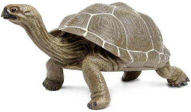 Aldabra Giant Tortoise 切手　4 シート　全て異なる4種類 Aldabra Giant Tortoise 切手 4 シート 全て異なる4種類 Aldabra
