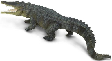 Naef　Alligator　プルトイ Naef Alligator プルトイ