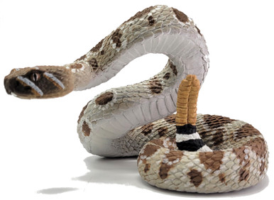 (売り切り最終価格)STAR OF HOLLYWOOD Rattle Snake STAR OF HOLLYWOOD スターオブハリウッド アロハシャツ SH39486