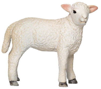 Romney Sheep Lamb Standing (Mojo)