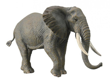 ●BLUE ELEPHANT● AIDES ash brown 03688 Blue Elephant- TESS ash brown – Danzzac