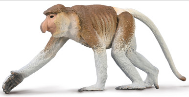 Proboscis Monkey #80014 (CollectA)
