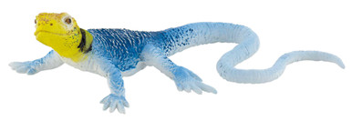 68488-lizard-Common-