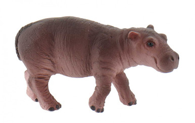 63692-hippopotamus-calf-