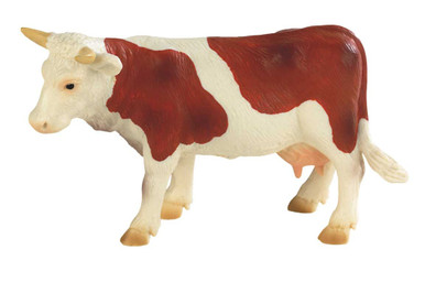 62610-brown-white-cow-