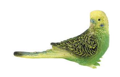 69381-budgie-green__85156.