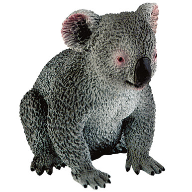 63567-koala__48788.1728324859.