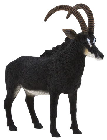 Mojo Giant Sable Antelope #387145 - Awesome Antlers