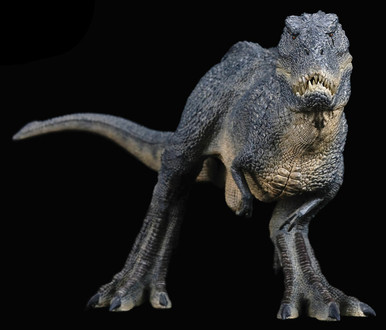 2025年最新】T-rex TREMSTERの人気アイテム - メルカリ