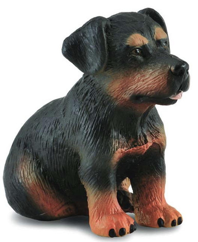 CollectA Dogs - Rottweiler Puppy 88190 - goofy Looking