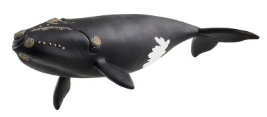 Schleich - North Atlantic Right Whale #14878