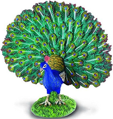CollectA Birds - Peacock / Peafowl #88209 - Vibrant Plumage