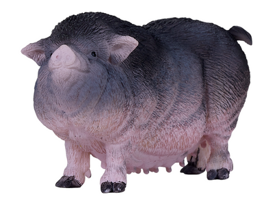 381079__56966.1744740276.386.