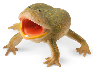 Toymany - Budgett's Frog #00390