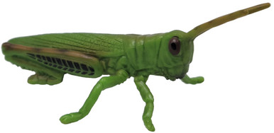 CollectA Wildlife - Grasshopper #88352 - hops high and far