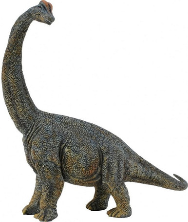 CollectA Dinosaurs - Brachiosaurus Deluxe #88405 - Detailed