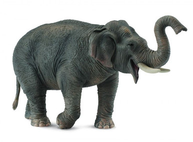 CollectA Wildlife - Asian Elephant #88486 - Raised Trunk