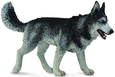 siberian husky CD4枚 CollectA Siberian Husky #88707 - Bushy Coat - Blue Eyes