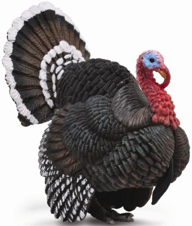 CollectA Bronze Turkey 88762 - Large Tail, Impressive Waddle