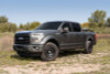 AMP Research 15-22 Ford F150 All Beds BedStep2 - Black - 75412-01A