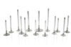 Ferrea Toyota Supra B58 3.0L 28.mm 5.96mm 99.8mm 21 Deg Tpr Flo STD Comp Plus Exh Valve - Set of 12 - F2430P