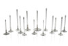 Ferrea Toyota/BMW B58 3.0L 30.6mm 4.97mm 99.15mm 19 Deg Supr Flo +.5 Comp Plus Int Valve - Set of 12 - F2434P
