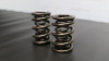Ferrea 1.650in to 1.600in .885/1.20/1.65 OD .645/.885/1.20 ID Triple Spring Valve Spring - Set of 16 - S10001