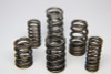 Ferrea 1.225in to 1.570in Dia 1.005/1.43 OD 0.73/1.07 ID Dual w/Damper Valve Spring - Set of 16 - S10006