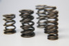 Ferrea 1.225in to 1.570in Diameter 1.025/1.57 OD 0.74/1.135 ID Dual w/Damper Valve Spring- Set of 16 - S10022