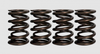 Ferrea Ford Coyote 5.0L 32 Valves 0.806/1.102in OD 0.580/0.806in ID Dual Valve Springs - Set of 32 - S10181 User 1