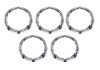 Ford Racing 2021+ Ford Bronco Functional Bead Lock Ring Kit - M-1021K-BL5