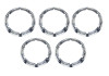 Ford Racing 2021+ Ford Bronco Functional Bead Lock Ring Kit - M-1021K-BL5