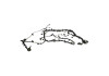 Ford Racing 5.0L Coyote Engine Harness for Automatic Transmission - M-12508-M50A