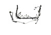 Ford Racing 5.0L Coyote Engine Harness for Automatic Transmission - M-12508-M50A