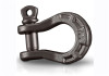 Ford Racing Epic D-Ring Shackle - M-1830-EDS