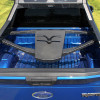 Ford Racing 17-19 Ford Raptor Chase Rack In-Bed Tire Carrier - M-19007-BC