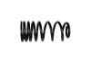 Ford Racing 1979-2004 Mustang Front/Rear Spring Kits - M-5300-B
