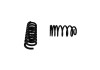 Ford Racing 1979-2004 Mustang Front/Rear Spring Kits - M-5300-C