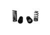 Ford Racing 1979-2004 Mustang Front/Rear Spring Kits - M-5300-C