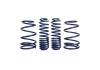 Ford Racing 2007-2014 Mustang Shelby GT500 Springs - M-5300-L