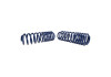 Ford Racing 2007-2014 Mustang Shelby GT500 Springs - M-5300-L