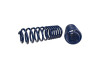 Ford Racing 2007-2014 Mustang Shelby GT500 Springs - M-5300-L