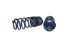 Ford Racing 2005-2014 Mustang GT 1.0in. Track Lowering Springs - M-5300-PA