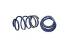 Ford Racing 2005-2014 Mustang GT 1.0in. Track Lowering Springs - M-5300-PA