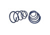 Ford Racing 2013 Cobra Jet Spring Kit - M-5300-RA