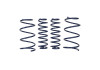 Ford Racing 2013 Cobra Jet Spring Kit - M-5300-RA