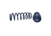 Ford Racing 2013 Cobra Jet Spring Kit - M-5300-RA