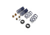Ford Racing 15-24 Mustang Street Lowering Spring Kit - M-5300-S65S